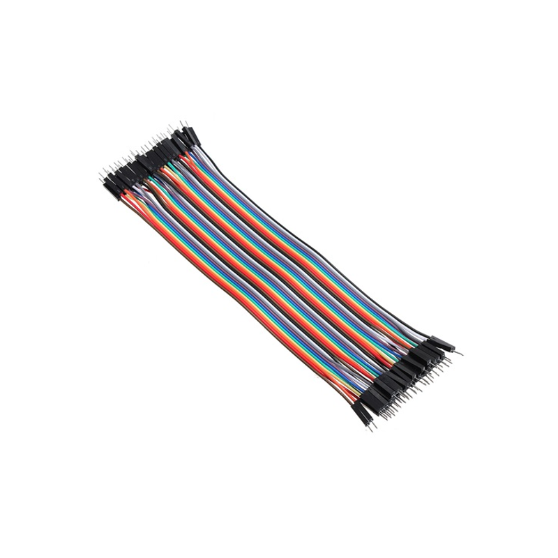 XS-45 Cable Dupont Jumper 20cm Macho-Macho